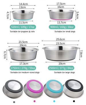 Discover the Ultimate Pet Feeding Solution