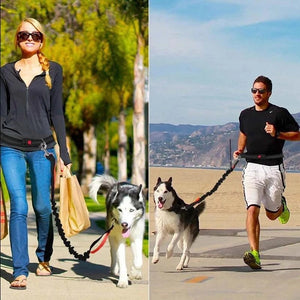Unleash Adventure with the Harness Collar Jogging Adjustable Pet Leash