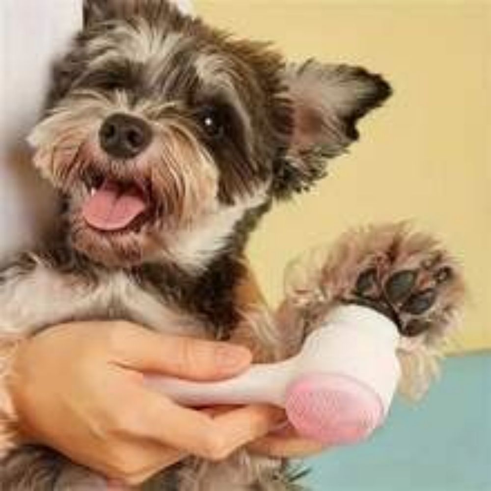 Transform Your Pet’s Grooming Routine with the Easy Clean Nylon Pet Paw Grooming Massage Brush