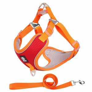 Discover the Ultimate Comfort: Breathable Pet Harness Adjustable Leash