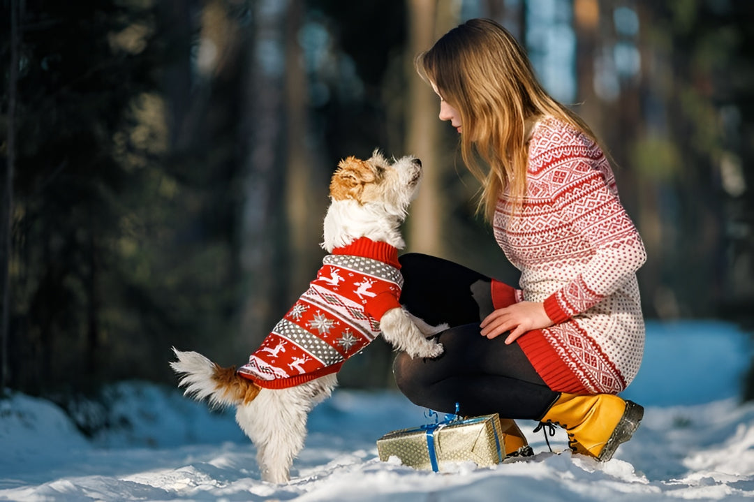 Stylish Pet Clothes For Every Season Comfort